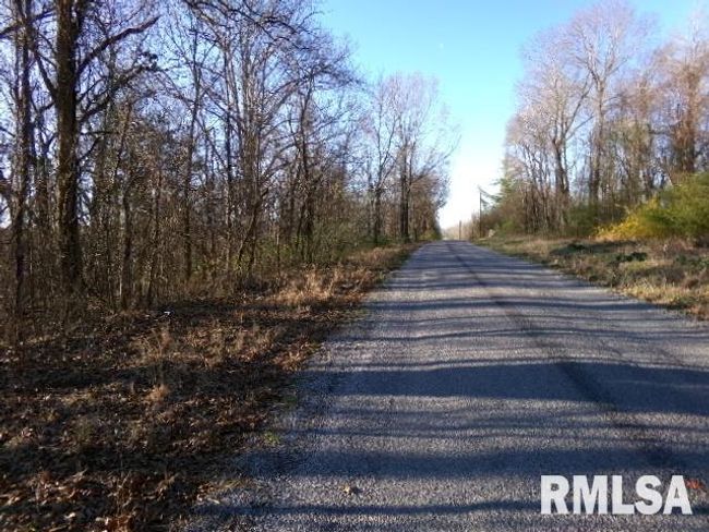 2225 Route 34, House other with 4 bedrooms, 2 bathrooms and null parking in Rosiclare IL | Image 38