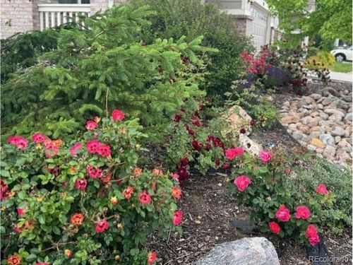 2054 E 167th Way, Thornton, CO, 80602-7650 | Card Image