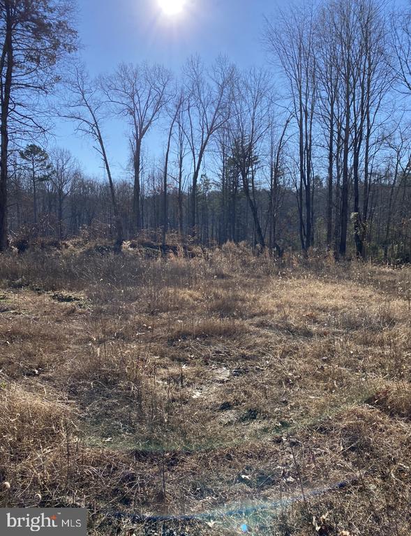 Land in LOUISA 5