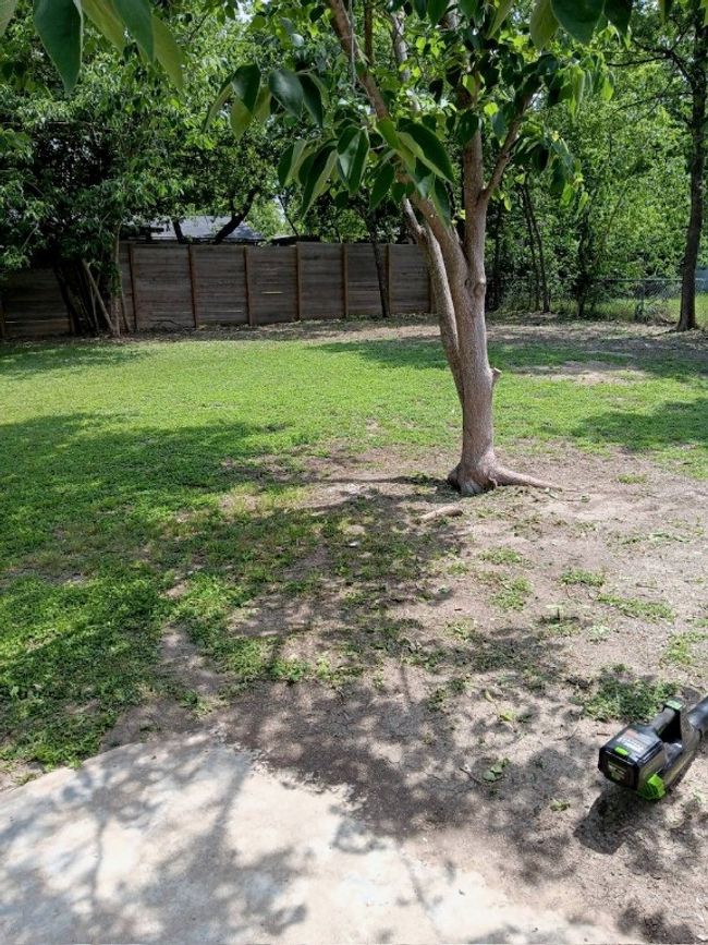 View of yard | Image 24
