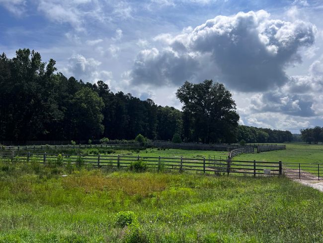 glascock8 | Image 4