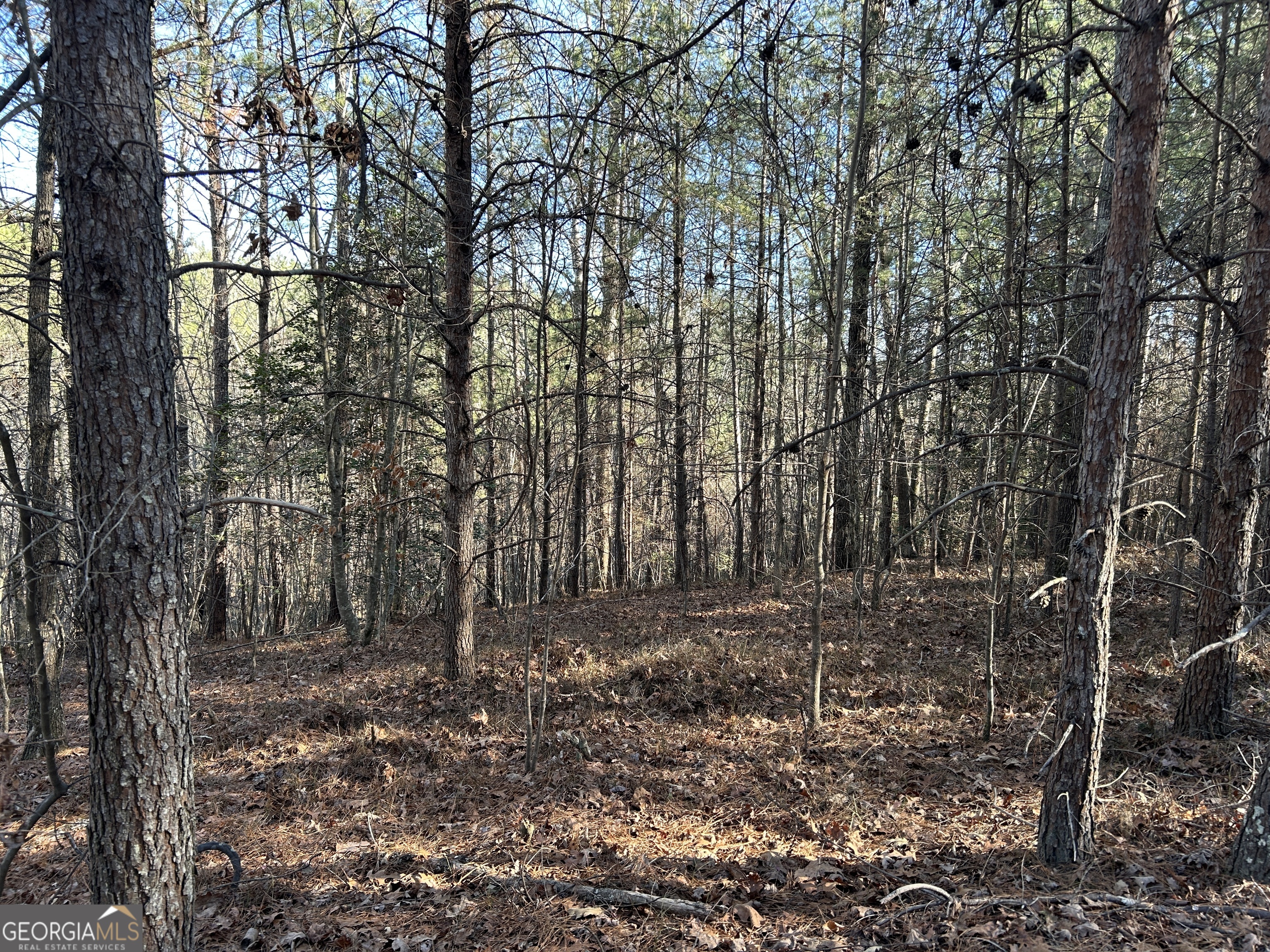 Land in Demorest 3