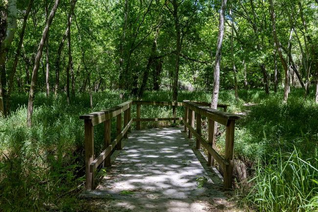 Surrounding community with a wooded view | Image 29