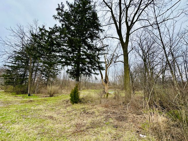 9605 Holden Rd, Home with 0 bedrooms, 0 bathrooms and null parking in Baroda MI | Image 4