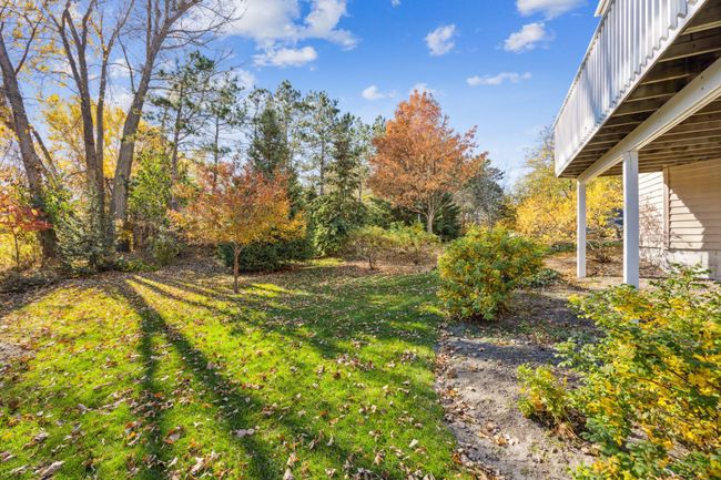 Backyard photo in fall. | Image 39