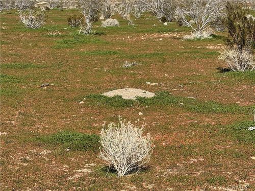 0 0, Acton, CA, 93510 | Card Image