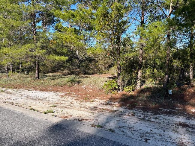 1706 Landing St, Home with 0 bedrooms, 0 bathrooms and null parking in Carrabelle FL | Image 7