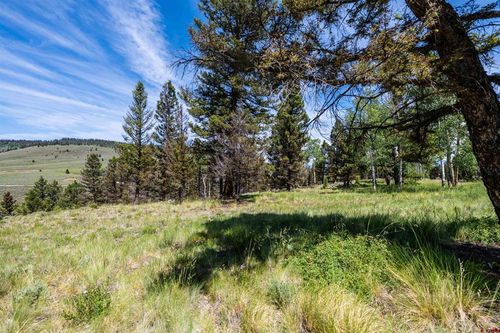 1021 Slumgullion Trl, Powderhorn, CO, 81243-9512 | Card Image