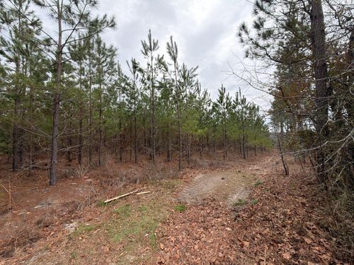 Bff Ii 3 J C Barefoot Road, Patrick, SC, 29584 | Card Image