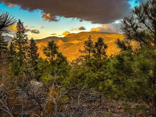 6245 Mcgee Ln, Helena, MT, 59602-5703 | Card Image