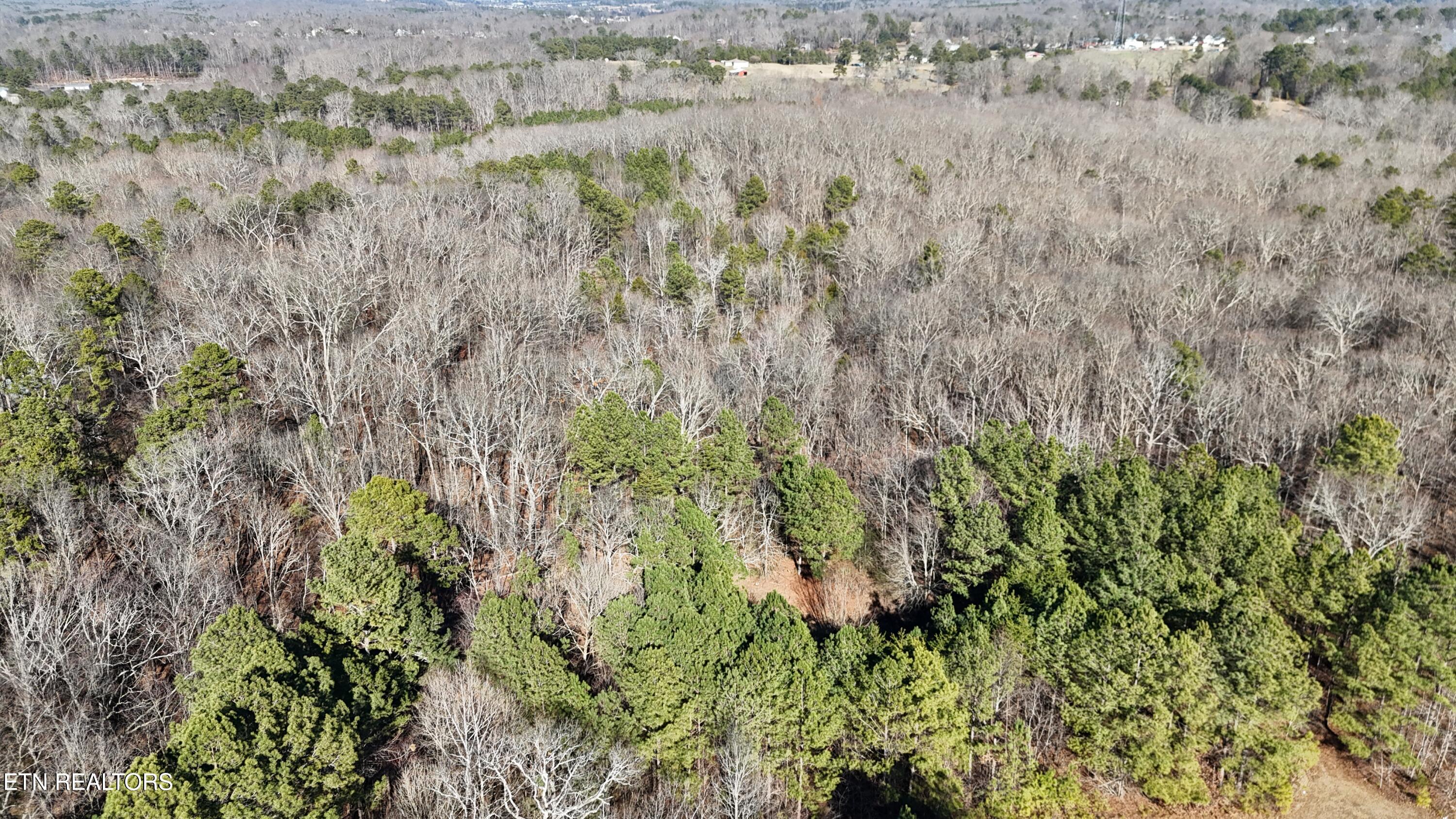 Land in Rockwood 5