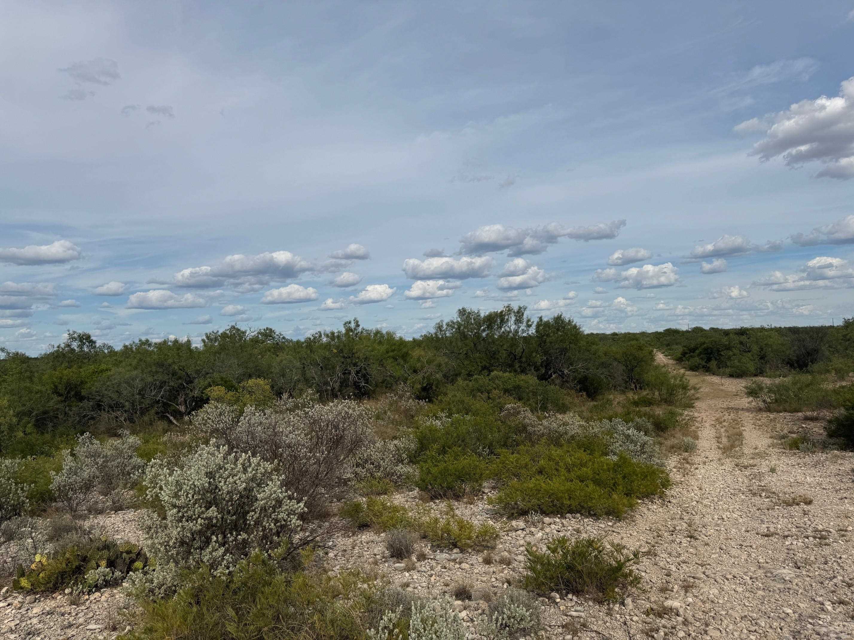 Land in Del Rio 3