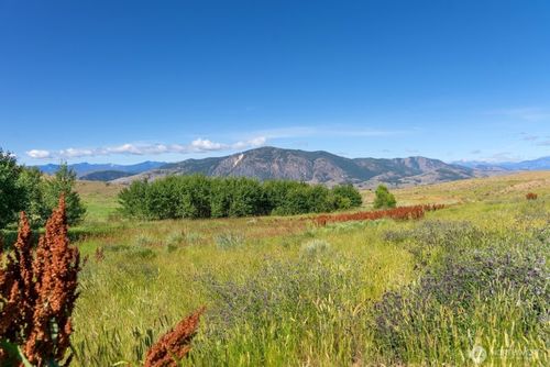 121 Finley Canyon Rd, Twisp, WA, 98856-9795 | Card Image