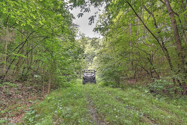 000 Goode Hollow Rd, Home with 0 bedrooms, 0 bathrooms and null parking in Duffield VA | Image 17