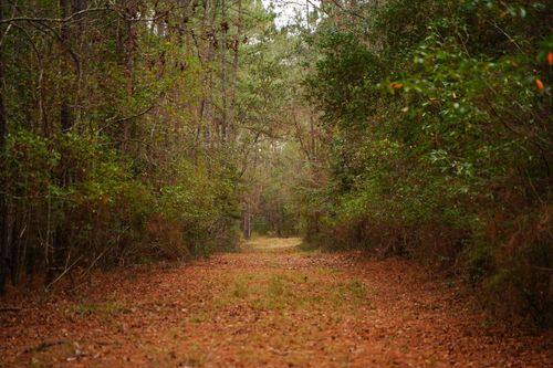 TBD Fm-418, Kountze, TX, 77625 | Card Image