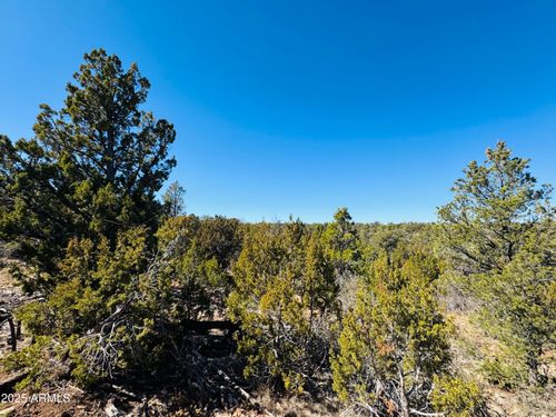 135-4108 Sunset Ridge Loop, Happy Jack, AZ, 86024 | Card Image