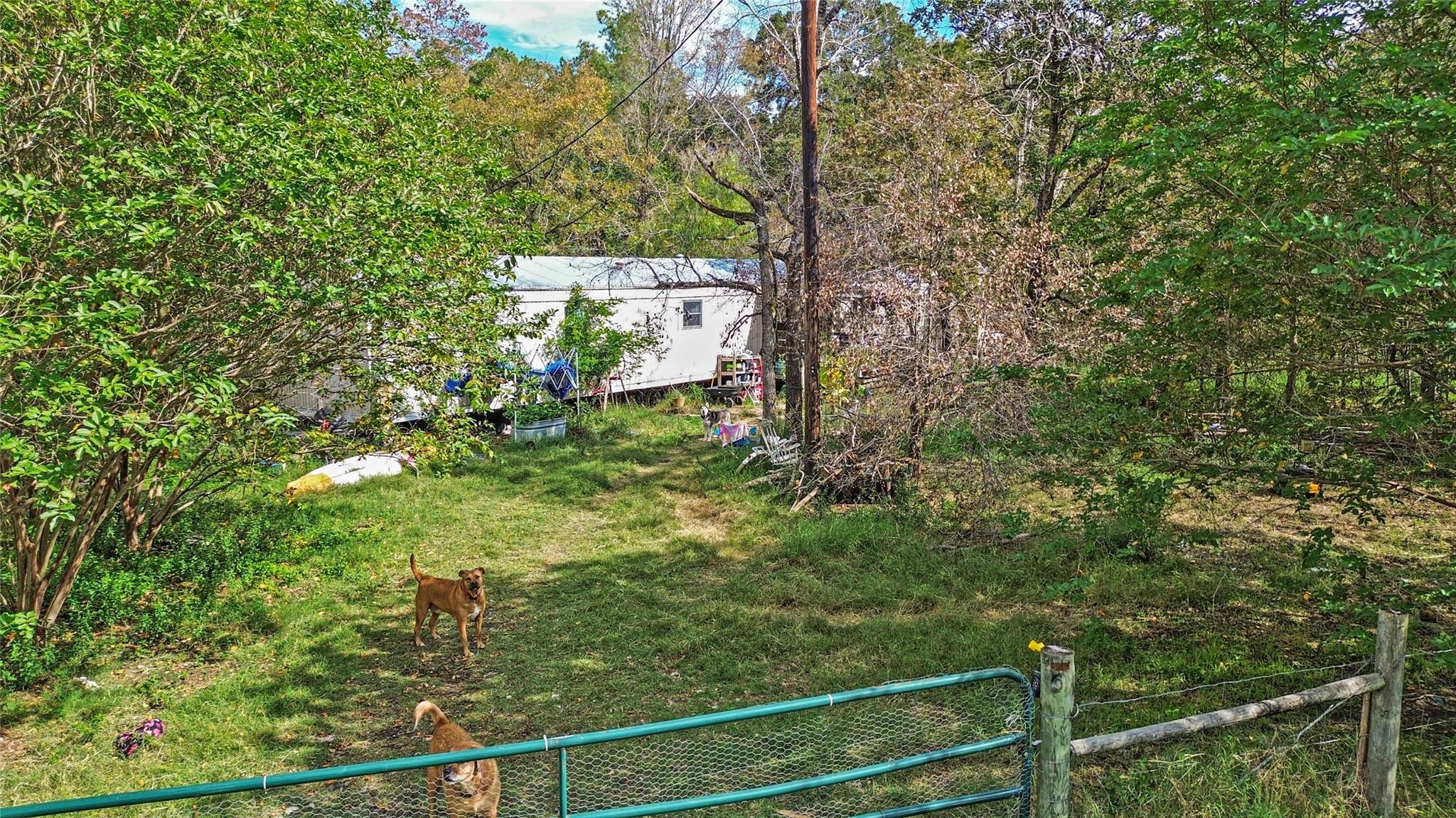 Farm in Huntsville 3