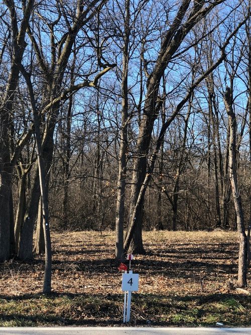 Oak Meadow Lot 4 W Oak Ave, Homer Glen, IL, 60441 | Card Image