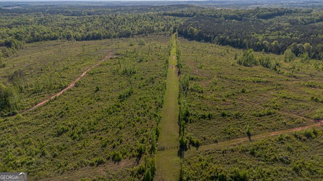 949 Marion Ripley Rd, Home with 0 bedrooms, 0 bathrooms and null parking in Dry Branch GA | Image 16