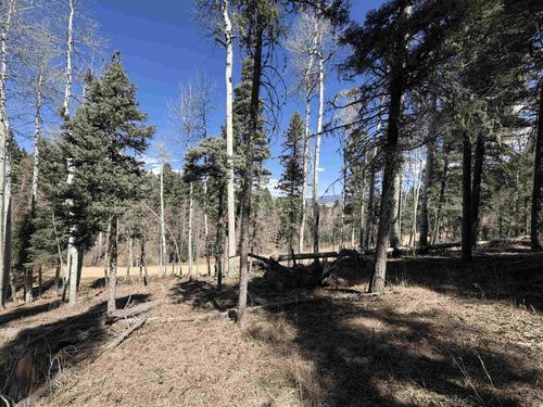 Lot 1283 Via Del Rey, Angel Fire, NM, 87710 | Card Image