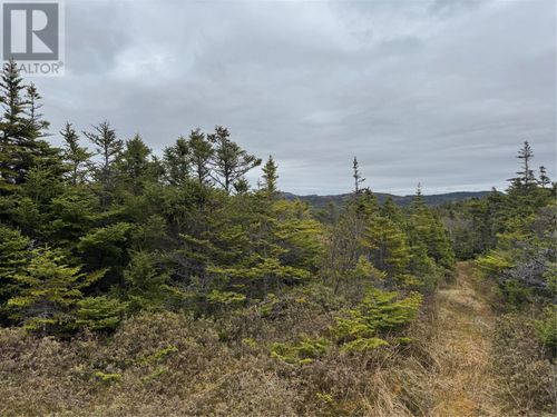 0 Centennial Hill, Southern Harbour, NL, A0B0C9 | Card Image