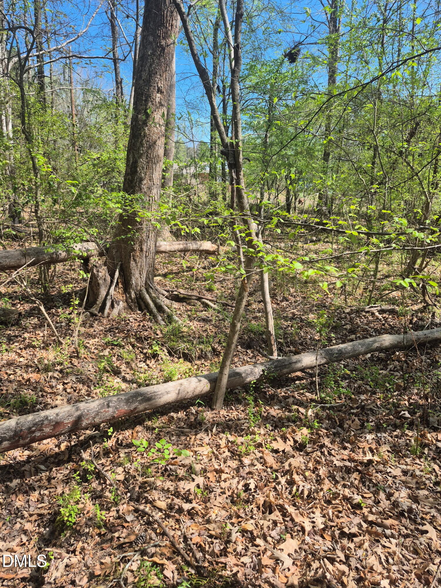 Land in Durham 4
