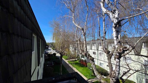 356-8131 Ryan Rd, Richmond, BC, V7A2E4 | Card Image