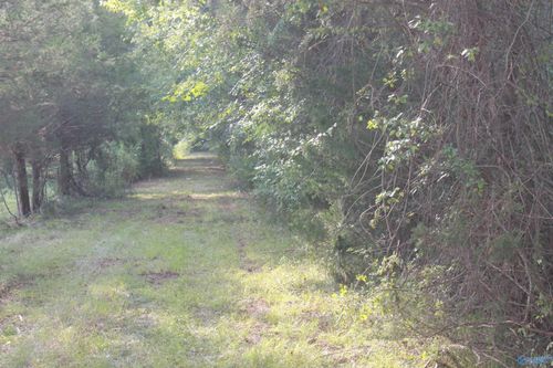 39 Acres Culver Road, Falkville, AL, 35622 | Card Image