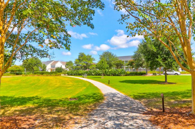 1888 Nola -Tidalcreekphoto- (49) | Image 51