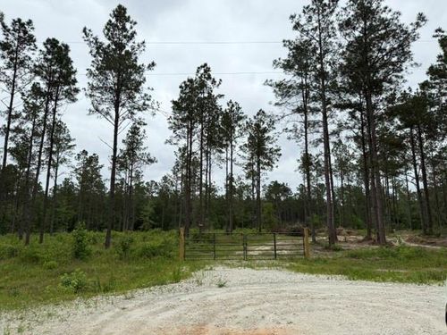 00 Richardson Rd E, Livingston, TX, 77351 | Card Image