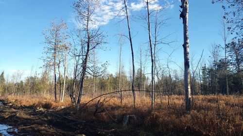 0 Constable Burke Townline Rd, Burke, NY, 12917 | Card Image