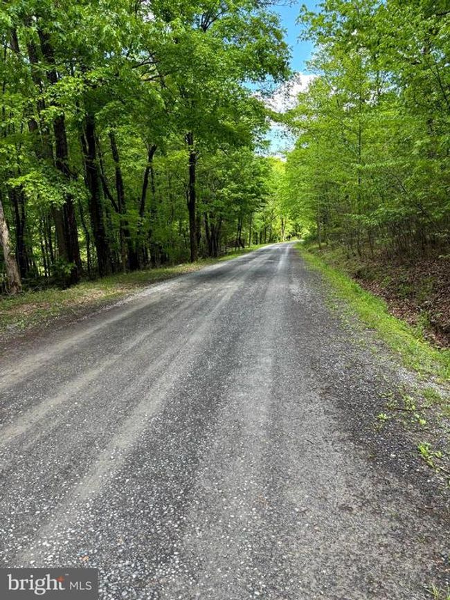 LOT 4 Yost Rd, Home with 0 bedrooms, 0 bathrooms and null parking in New Creek WV | Image 5