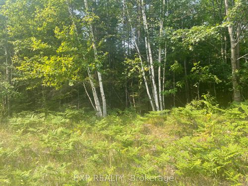 1571 Schutt Rd, Palmer Rapids, ON, K0J2E0 | Card Image