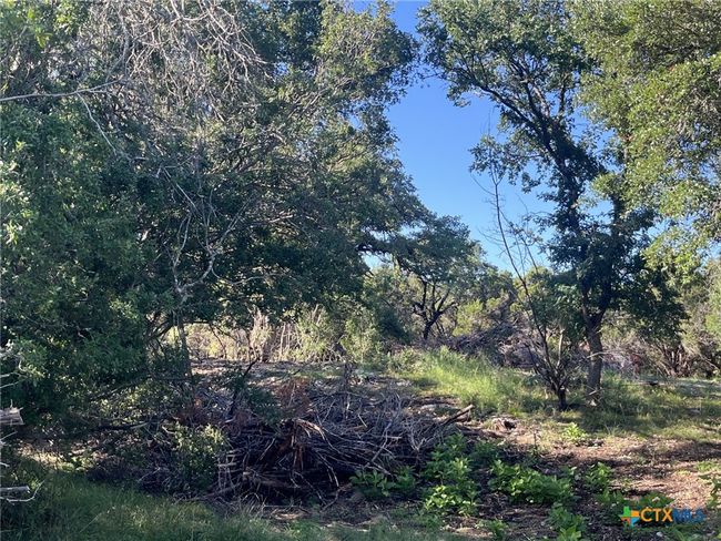 0 Rolling River Vw, Home with 0 bedrooms, 0 bathrooms and null parking in Spring Branch TX | Image 7