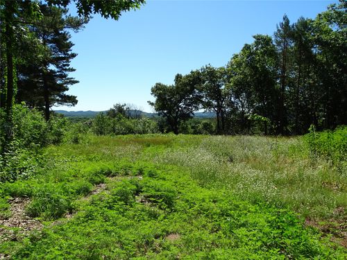 N4916 County Rd N, ARKANSAW, WI, 54721-9330 | Card Image