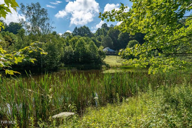 306 Bear Branch Rd, Home with 0 bedrooms, 0 bathrooms and null parking in Roan Mountain TN | Image 32