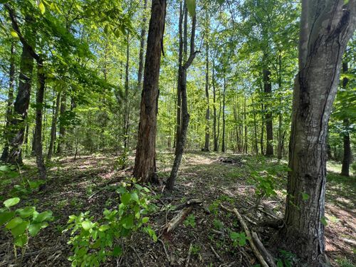 0 Discovery Trail, Big Island, VA, 24526 | Card Image