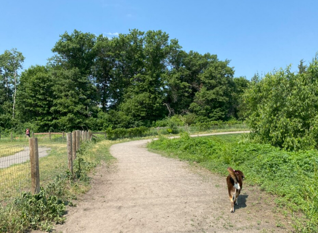 Southbridge Dog Park in Shakopee lets our furry friends run free!.png | Image 40