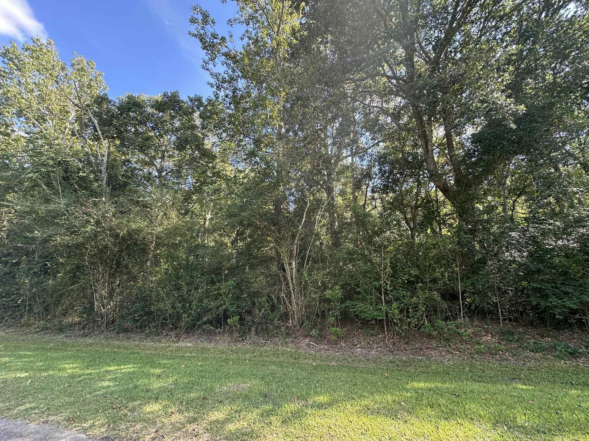 Land in Winnie 5