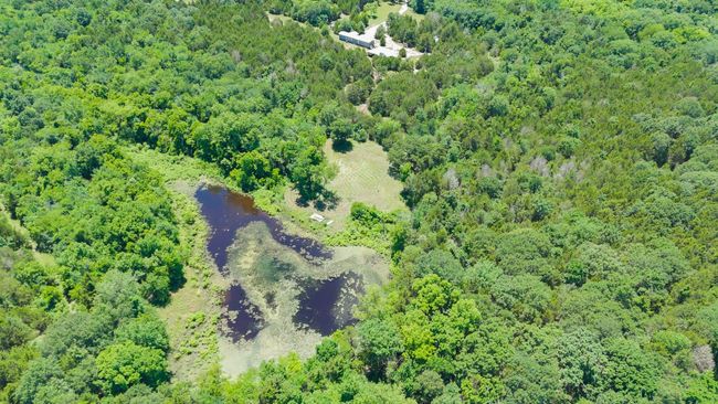 Large pond approximately 1 acre in size! | Image 12