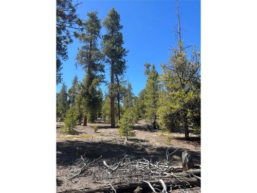 266 Ponderosa Dr, Leadville, CO, 80461 | Card Image