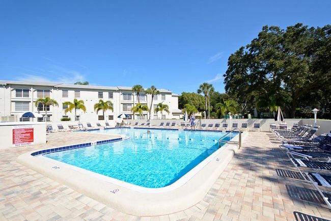Large Heated Pool | Image 4