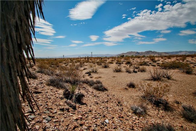 60024 Old Chisholm Trl, Home with 0 bedrooms, 0 bathrooms and null parking in Joshua Tree CA | Image 5