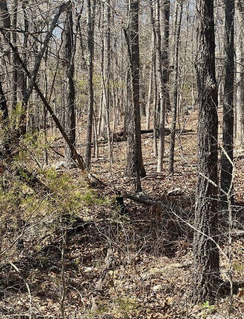 423 Hiawatha Cir, Horseshoe Bend, AR, 72512 | Card Image