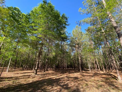 309 Exploration Rd, Willis, TX, 77378 | Card Image