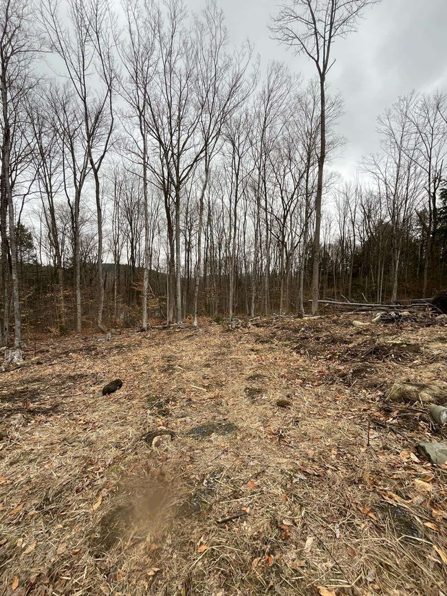 42 Melody Ln, House other with 3 bedrooms, 2 bathrooms and null parking in Springfield VT | Image 7