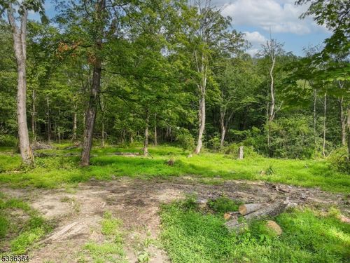 0 Florence Ln, Newton, NJ, 07860 | Card Image