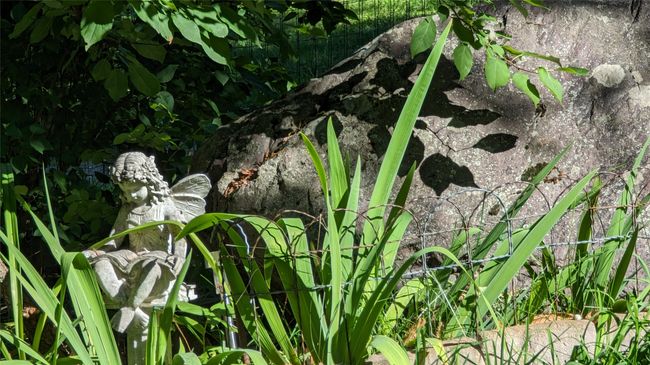 Garden Views | Image 35