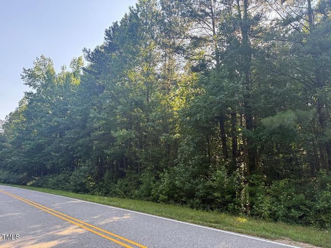 view of wooded section from road frontag | Image 9