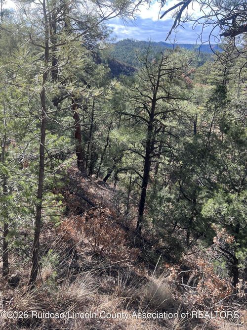 Lot 96 Gresswell Road, Ruidoso, NM, 88345 | Card Image